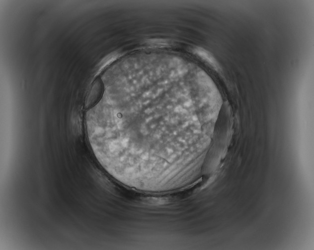 X0000086771409200705041459