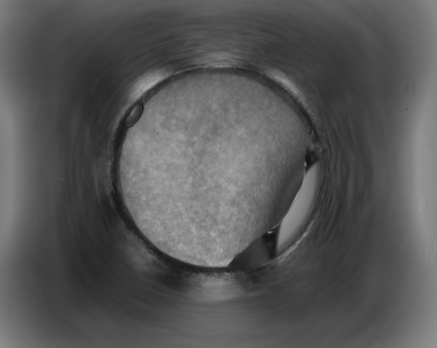 X0000086771410200705041459