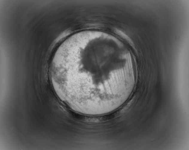 X0000086771411200705041459