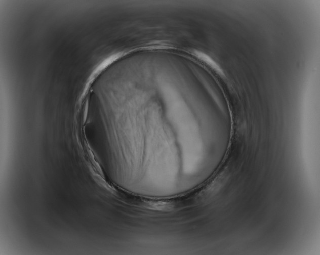 X0000086771413200705041459