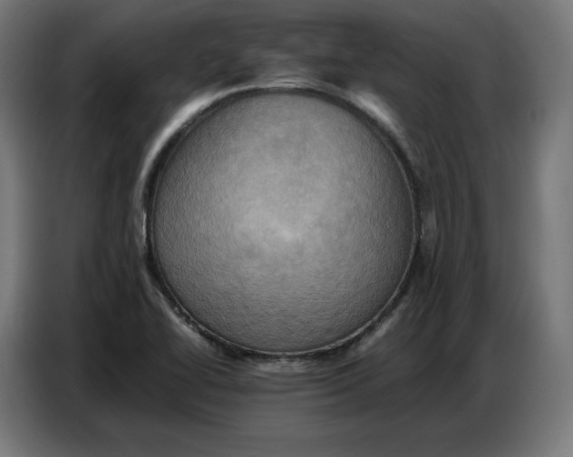 X0000086771414200705041459