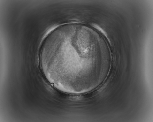 X0000086771415200705041459