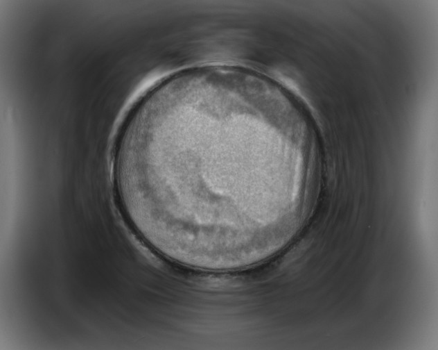 X0000086771416200705041459