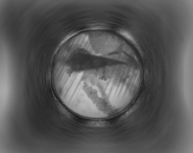 X0000086771417200705041459