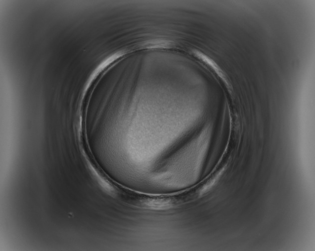 X0000086771418200705041459