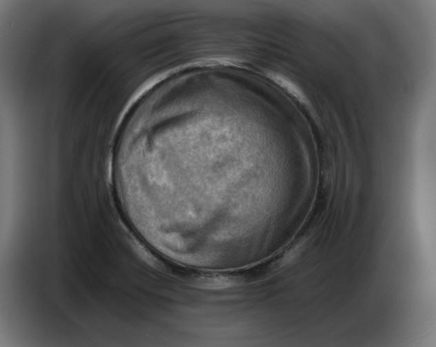 X0000086771420200705041459