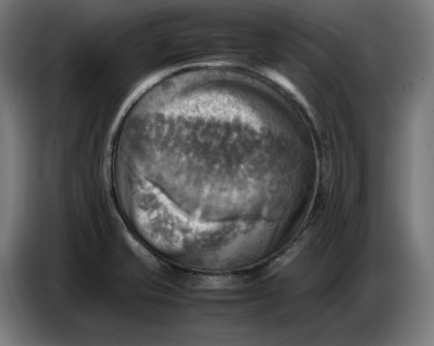 X0000086771421200705041459