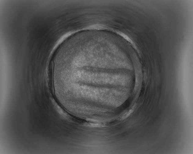 X0000086771422200705041459