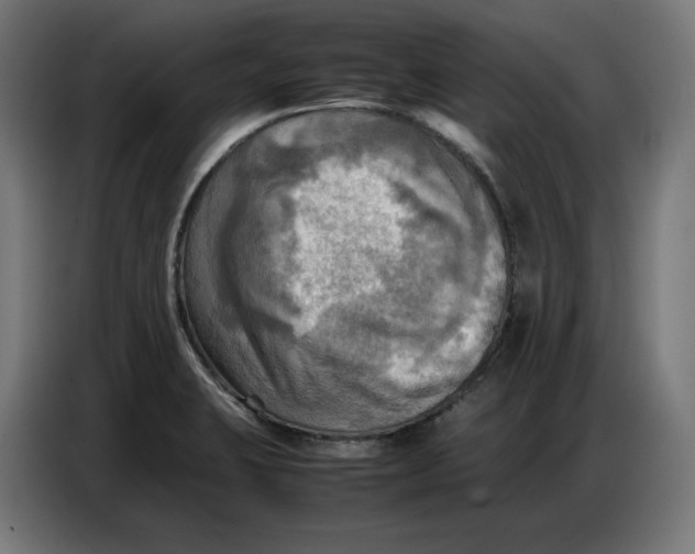 X0000086771423200705041459