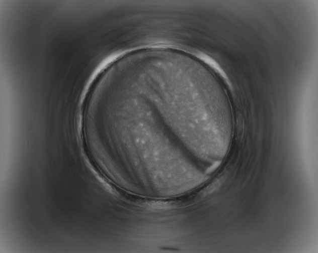 X0000086771424200705041459