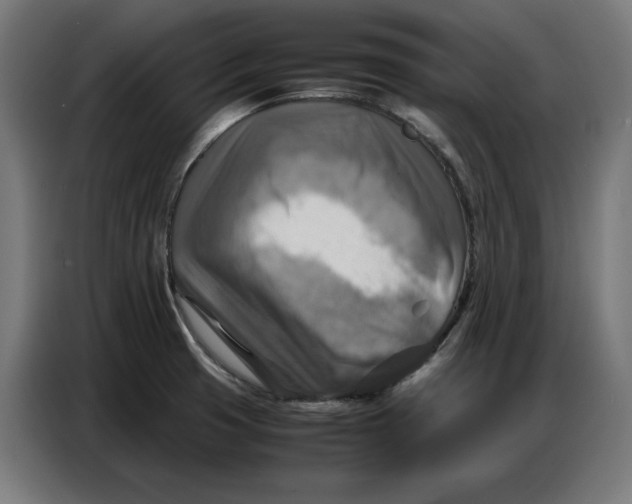 X0000086771425200705041459