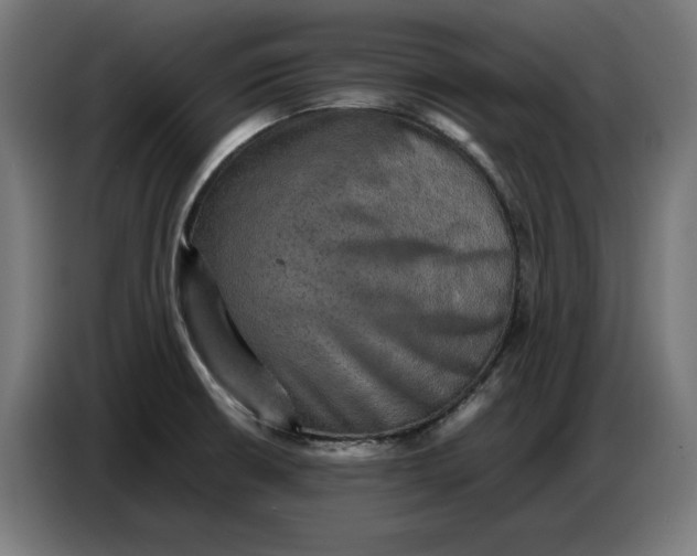 X0000086771426200705041459