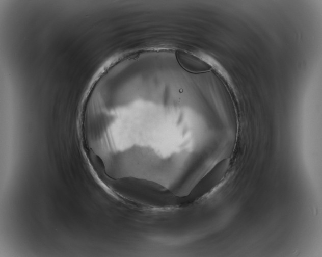 X0000086771429200705041459