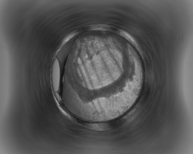X0000086771433200705041459