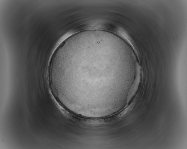 X0000086771434200705041459
