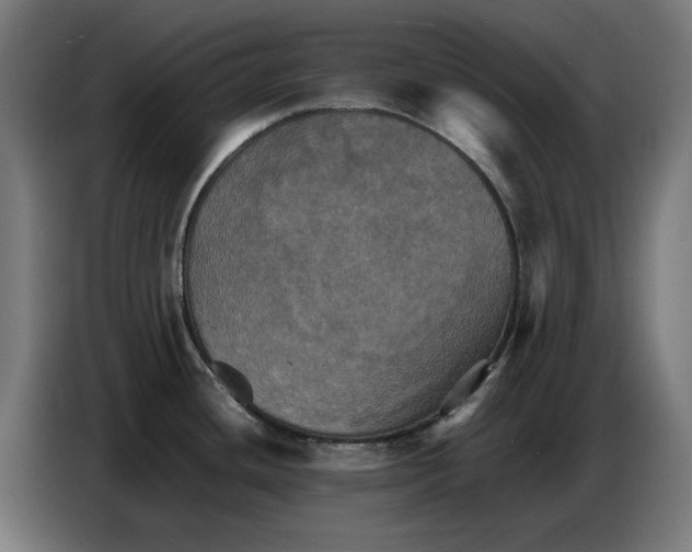 X0000086771436200705041459