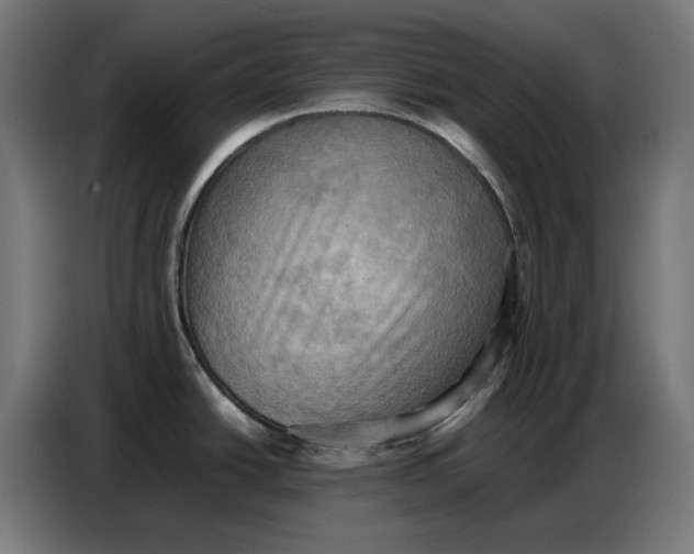 X0000086771438200705041459