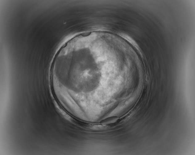 X0000086771439200705041459