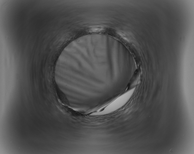 X0000086771441200705041458