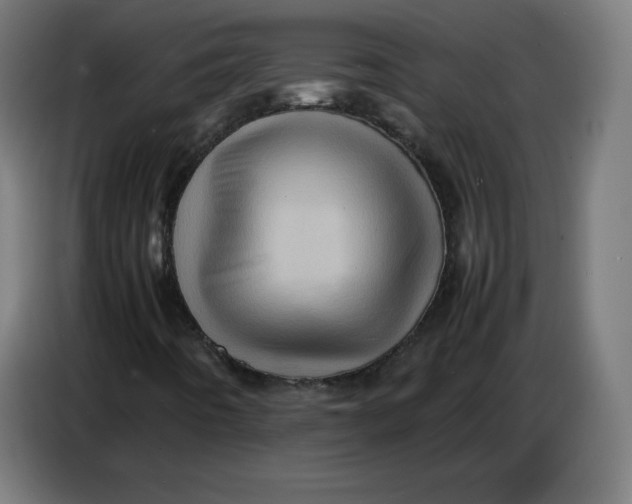 X0000086771442200705041458