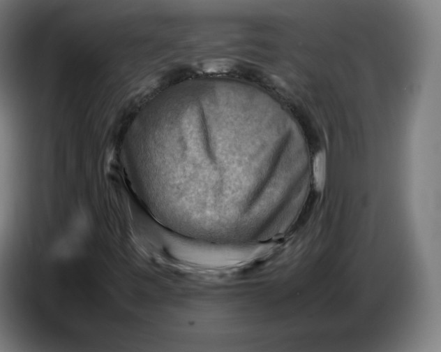 X0000086771443200705041458