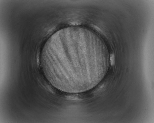 X0000086771444200705041458