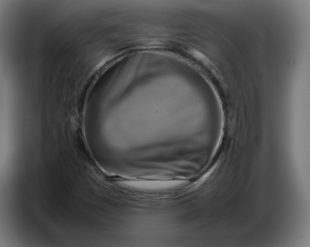 X0000086771449200705041458
