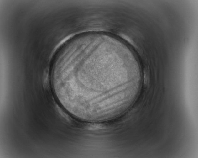 X0000086771452200705041458
