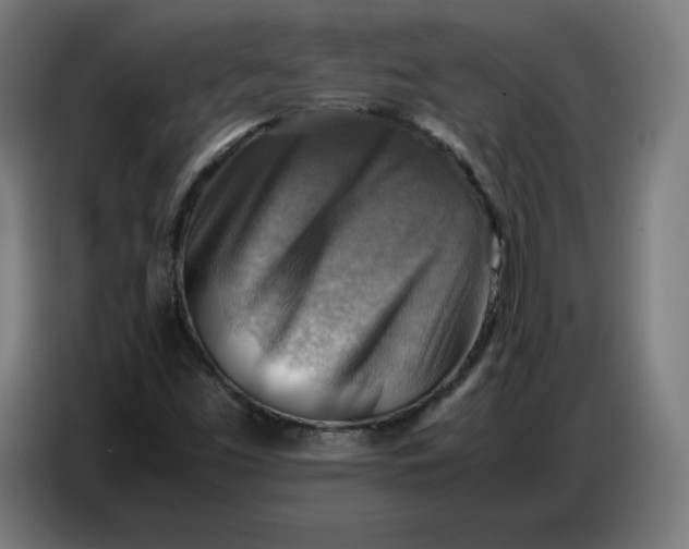 X0000086771453200705041458