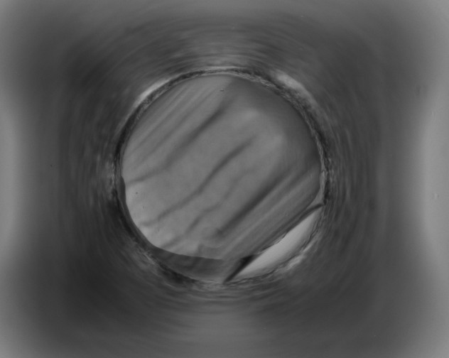 X0000086771457200705041458