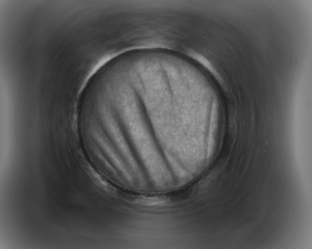 X0000086771460200705041458