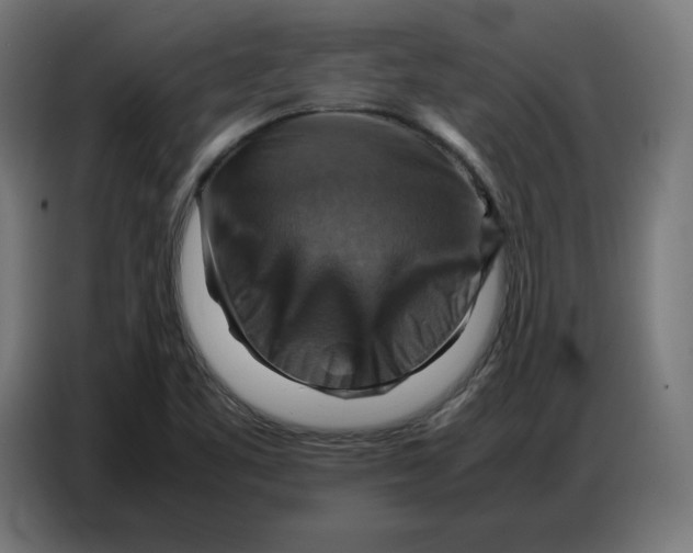 X0000086771461200705041458