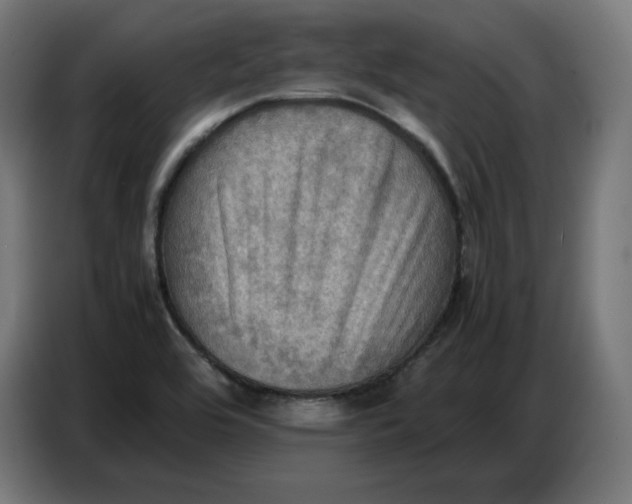 X0000086771464200705041458