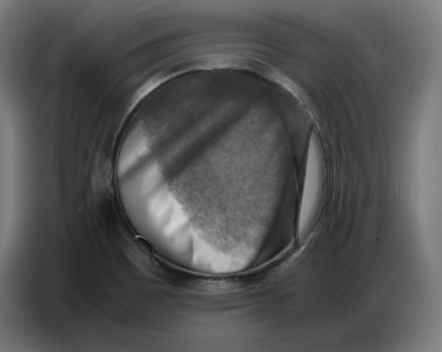 X0000086771465200705041458