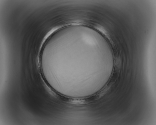 X0000086771466200705041458