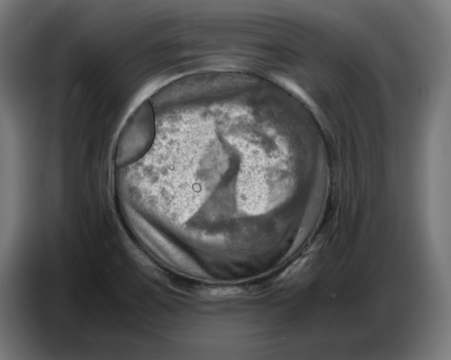 X0000086771467200705041458