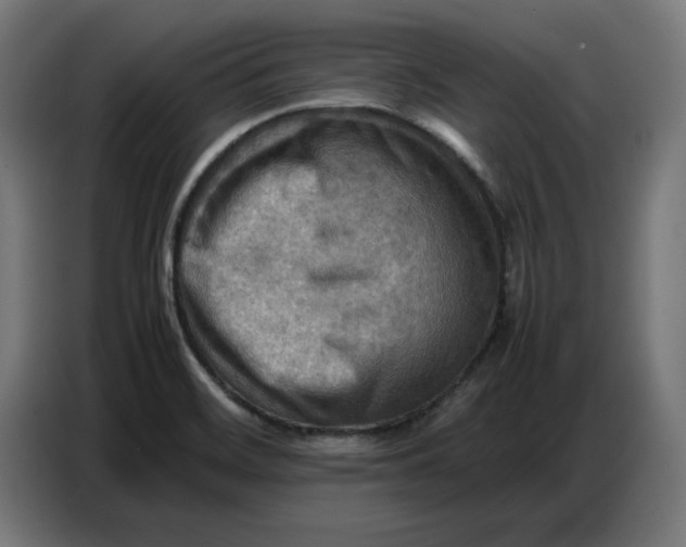 X0000086771468200705041458