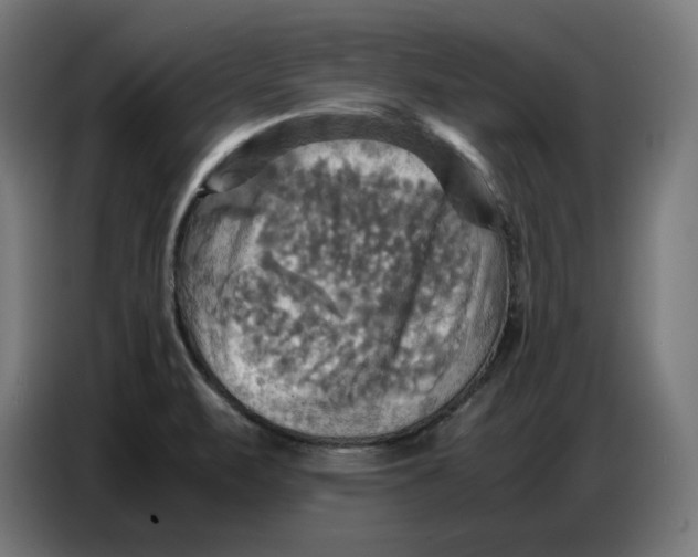 X0000086771471200705041458
