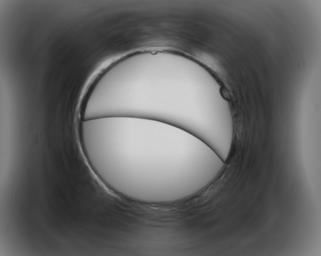 X0000086771472200705041458