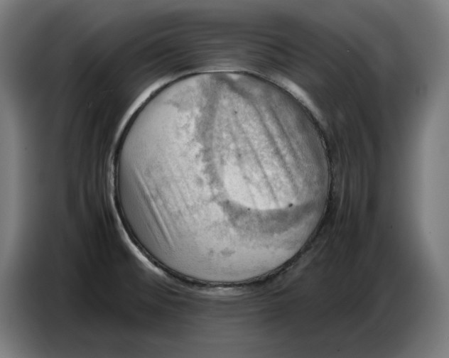 X0000086771476200705041458