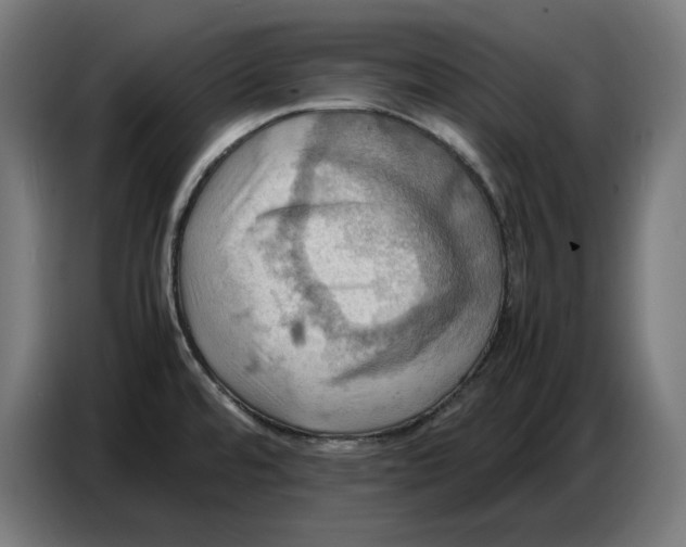 X0000086771480200705041458