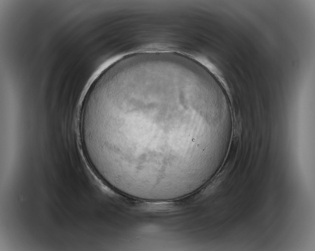 X0000086771486200705041458