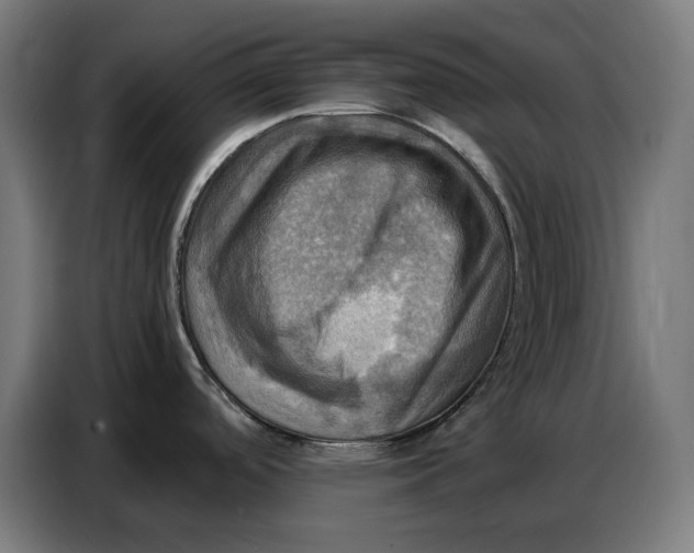 X0000086771488200705041458