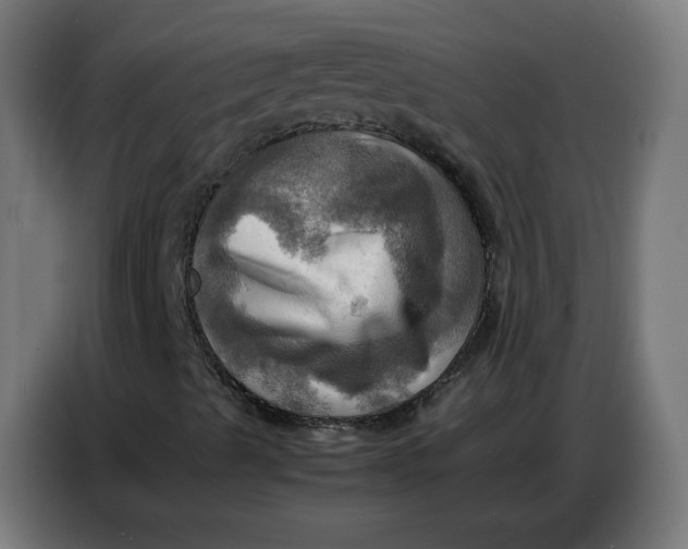 X0000086771489200705041457