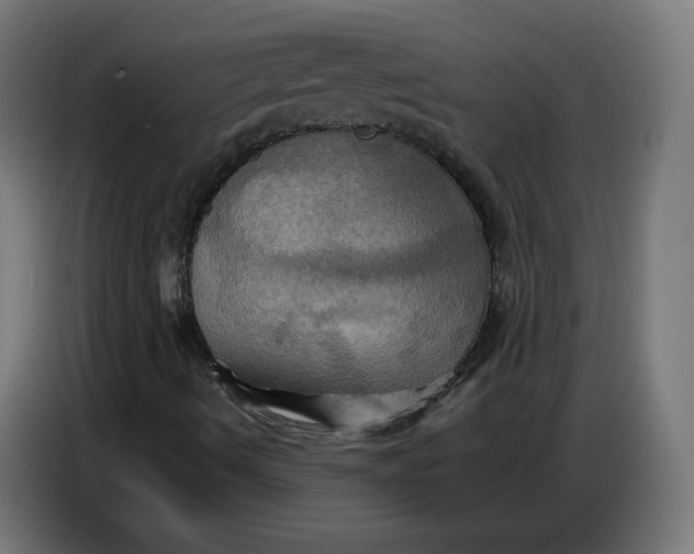 X0000086771490200705041457