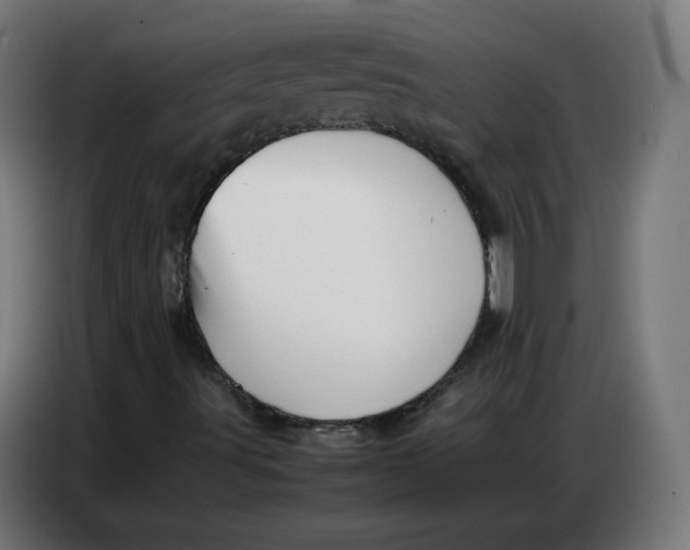 X0000086771491200705041457
