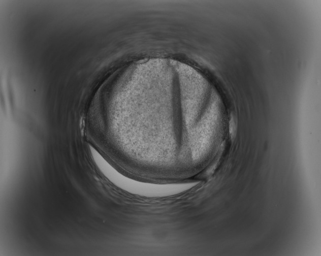 X0000086771492200705041457
