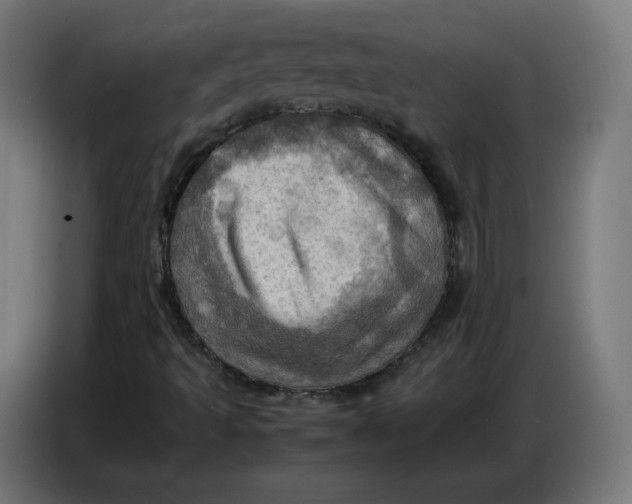 X0000086771493200705041457