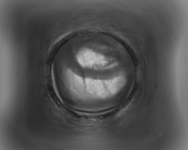 X0000086771494200705041457