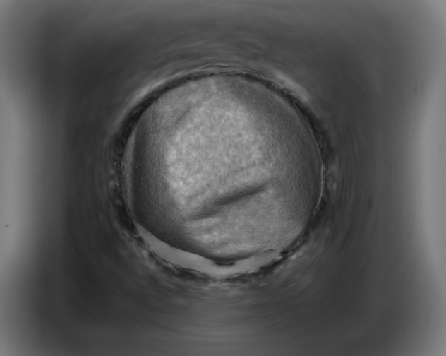 X0000086771496200705041457
